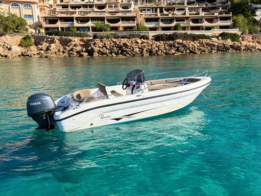 4h Boat Rental WITH licence
