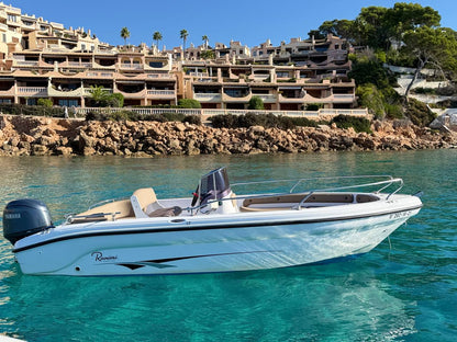 4h Boat Rental WITH licence